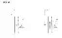 Fig. 02 - Degenerate doping of metallic anodes