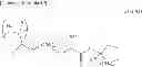 Fig. 41 - Solvent developable negative resist composition, resist pattern formation method, and method for forming pattern of layer including block copolymer