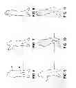 Fig. 04 - METHOD OF DEVELOPING A GOLF GRIP AND SWING AND FITTING EQUIPMENT TO A GOLF SWING AND BALL TRAVEL