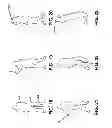 Fig. 06 - METHOD OF DEVELOPING A GOLF GRIP AND SWING AND FITTING EQUIPMENT TO A GOLF SWING AND BALL TRAVEL