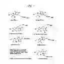 Fig. 02 - Labelled nucleotides
