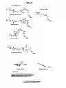 Fig. 03 - Labelled nucleotides