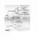 Fig. 03 - Detection of saxitoxin-producing dinoflagellates