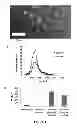 Fig. 02 - Exosomes and diagnostic biomarkers