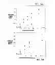 Fig. 02 - Modified vitamin K-dependent polypeptides