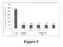 Fig. 04 - Process for Stimulating Hyaluronic Acid Production with Ascorbic Acid Derivatives and the Composition Thereof