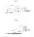 Fig. 02 - Isoprene synthase and gene encoding the same, and method for producing isoprene monomer