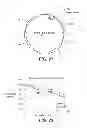 Fig. 22 - Thermostable carbonic anhydrases and methods of use thereof