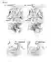Fig. 08 - Meditopes and meditope-binding antibodies and uses thereof