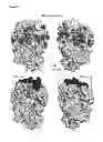 Fig. 24 - Meditopes and meditope-binding antibodies and uses thereof