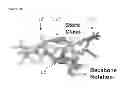 Fig. 37 - Meditopes and meditope-binding antibodies and uses thereof