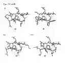 Fig. 50 - Meditopes and meditope-binding antibodies and uses thereof
