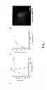 Fig. 02 - Mammalian codon optimized nucleotide sequence that encodes a variant opsin polypeptide derived from Natromonas pharaonis (NpHR)