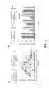 Fig. 16 - Mammalian codon optimized nucleotide sequence that encodes a variant opsin polypeptide derived from Natromonas pharaonis (NpHR)
