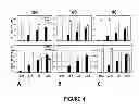 Fig. 06 - Replication deficient recombinant viruses expressing antigens regulated by transcriptional control elements comprising multiple elements