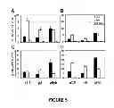 Fig. 07 - Replication deficient recombinant viruses expressing antigens regulated by transcriptional control elements comprising multiple elements