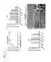 Fig. 04 - Cell culture substrate, and cell culturing method using the substrate and method for inducing differentiation of pluripotent stem cells using the substrate