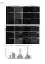 Fig. 07 - Cell culture substrate, and cell culturing method using the substrate and method for inducing differentiation of pluripotent stem cells using the substrate