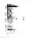 Fig. 07 - Genetic manipulation and expression systems for Pucciniomycotina and Ustilaginomycotina subphyla