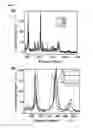 Fig. 02 - Plasmonic junctions for surface-enhanced spectroscopy