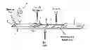 Fig. 01 - Sensor integration in lateral flow immunoassays and its applications