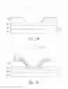 Fig. 03 - Al bond pad clean method