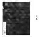 Fig. 06 - Method for in-situ dry cleaning, passivation and functionalization of Ge semiconductor surfaces