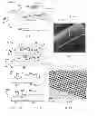 Fig. 02 - Chemical mechanical planarization conditioner
