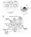 Fig. 08 - Chemical mechanical planarization conditioner