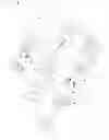 Fig. 06 - Joint assembly