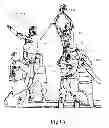 Fig. 02 - Leg Straps with Horizontal Handles