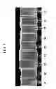 Fig. 04 - Fining agents for silicate glasses