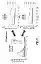 Fig. 06 - Antibody screening methods