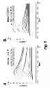 Fig. 07 - Antibody screening methods