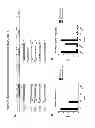 Fig. 11 - Engineered thioredoxin-like fold proteins