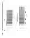 Fig. 14 - Engineered thioredoxin-like fold proteins