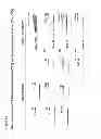 Fig. 23 - Engineered thioredoxin-like fold proteins