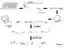 Fig. 02 - Methods of making oligonucleotide probes
