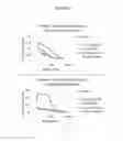 Fig. 09 - Functionalized polymers and oligomers as corrosion inhibitors and antiwear additives