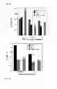 Fig. 04 - Transducible Polypeptides for Modifying Metabolism