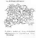 Fig. 01 - Magnesium compositions for modulating the pharmacokinetics and pharmacodynamics of insulin and insulin analogs, and injection site pain