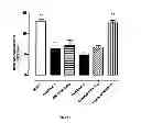 Fig. 06 - Cartilage product