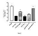 Fig. 07 - Cartilage product