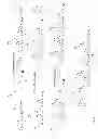 Fig. 03 - Method for site-specific polyvalent display on polymers