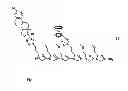 Fig. 05 - Method for site-specific polyvalent display on polymers