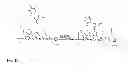Fig. 11 - Method for site-specific polyvalent display on polymers