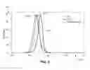 Fig. 07 - APLs for treating arthritis