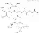 Fig. 07 - Peptide analogues with an excellent moisturizing effect and use thereof