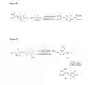 Fig. 12 - Modification of peptides via SAr reactions of thiols with fluorinated aromatics