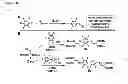Fig. 23 - Modification of peptides via SAr reactions of thiols with fluorinated aromatics